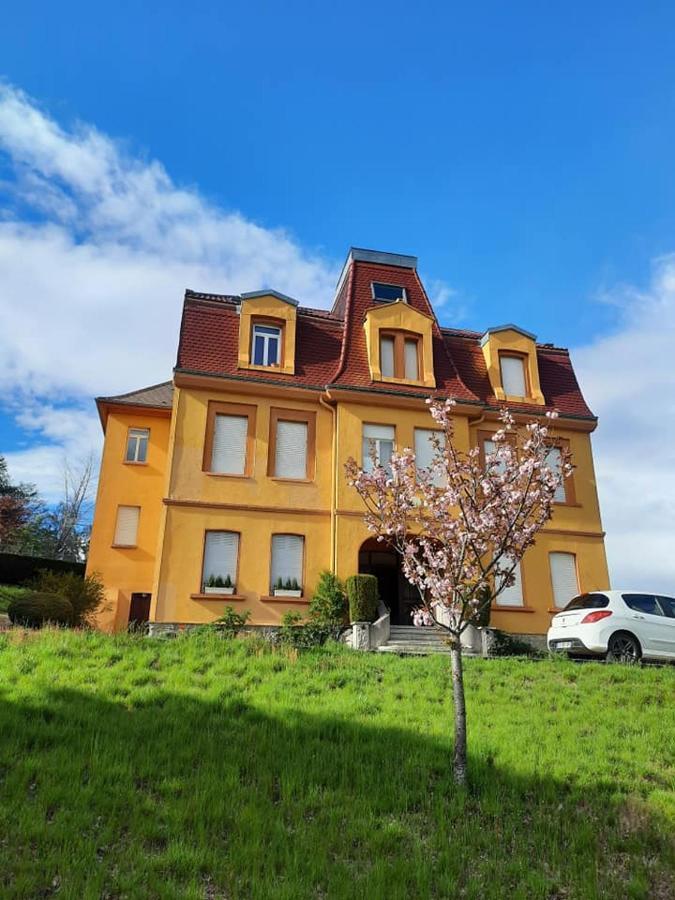 Studio Soleil Au Hohwald Apartment Exterior photo